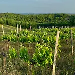 Domaine Le Tournier *