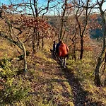 Domaine Le Tournier