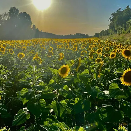 Domaine Le Tournier Prázdninový dům