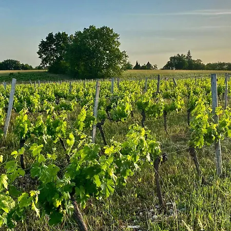 Σπίτι διακοπών Domaine Le Tournier