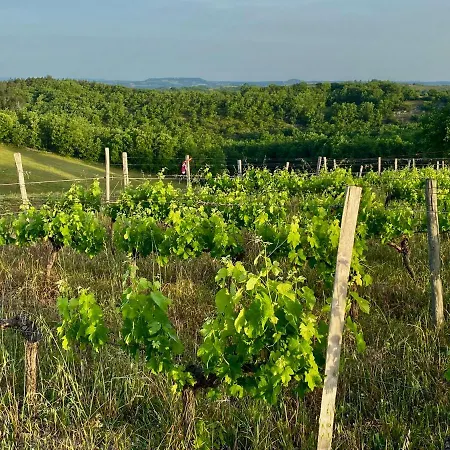 Domaine Le Tournier *