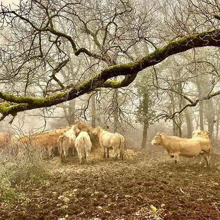 Σπίτι διακοπών Domaine Le Tournier Thézac