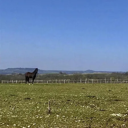 Domaine Le Tournier Σπίτι διακοπών Thézac
