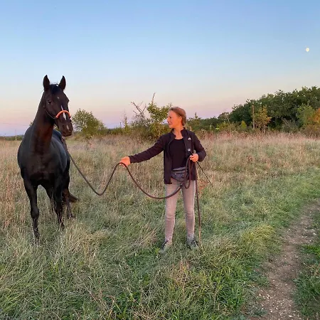 Domaine Le Tournier Prázdninový dům *