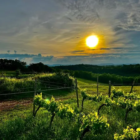 Σπίτι διακοπών Domaine Le Tournier Thézac
